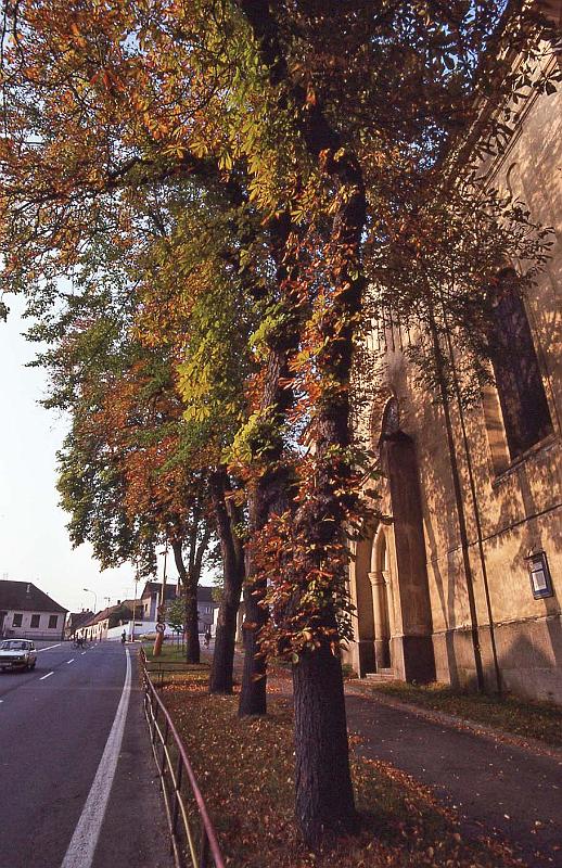 WT 4100 386-25 Czech Rep.jpg